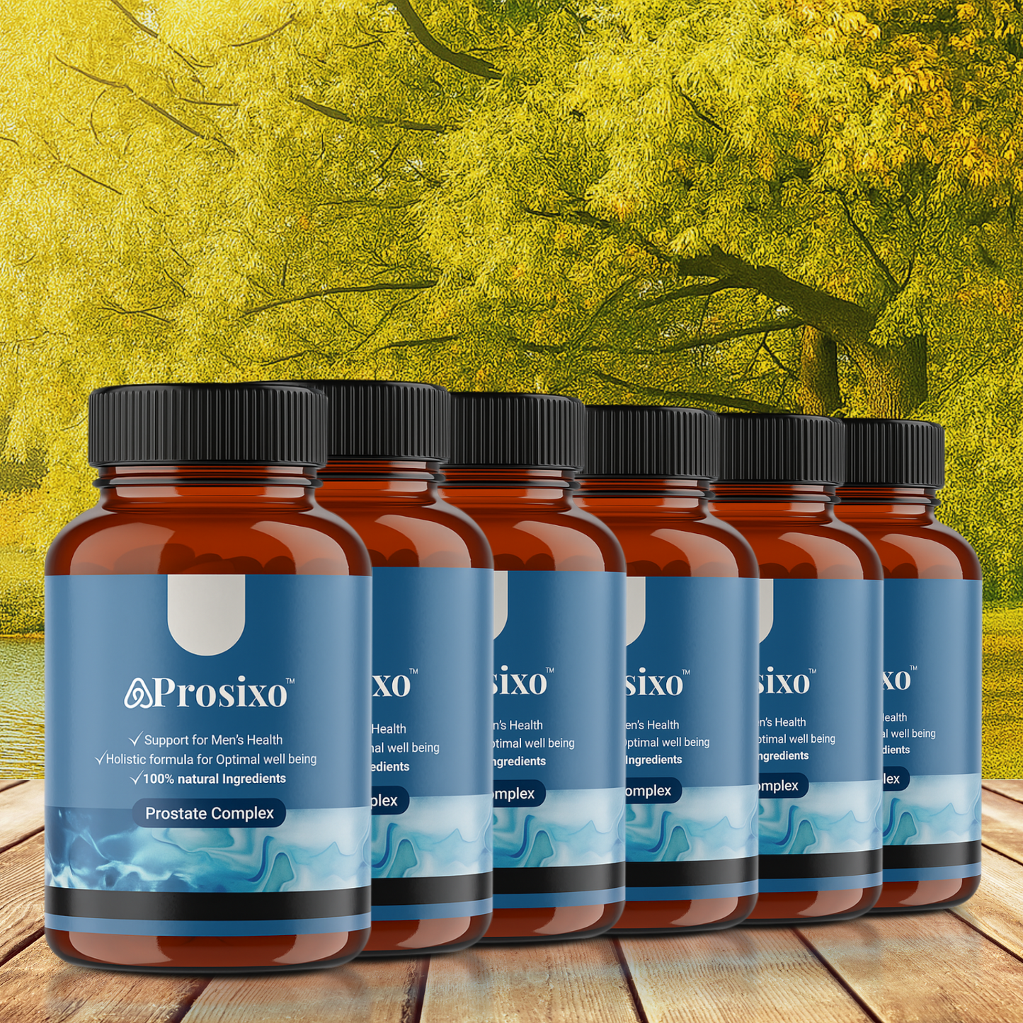 Prosixo™ | ZA